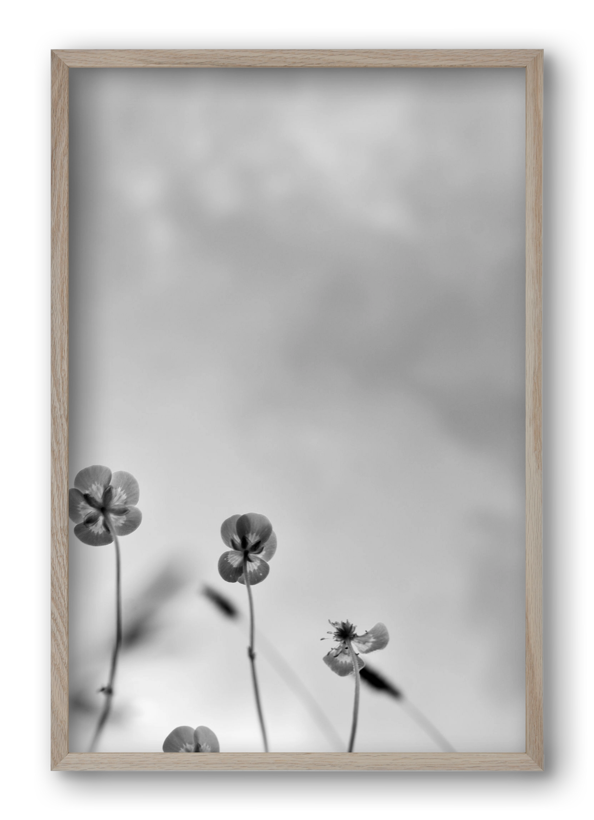 Buttercups, 40x60 cm (40x60 cm), Tölgy keret