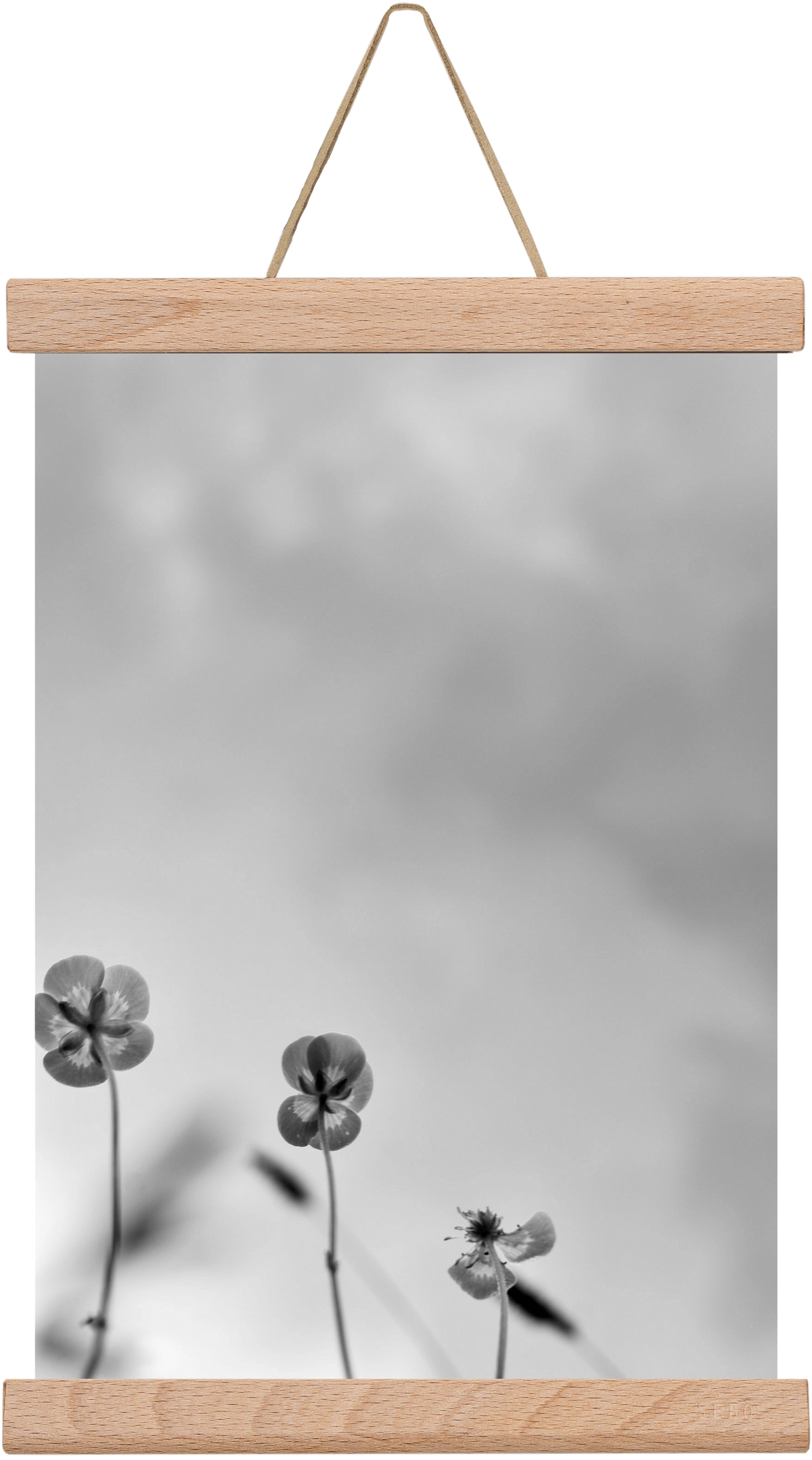 Buttercups, 20x30 cm (20x30 cm), Tölgy akasztó