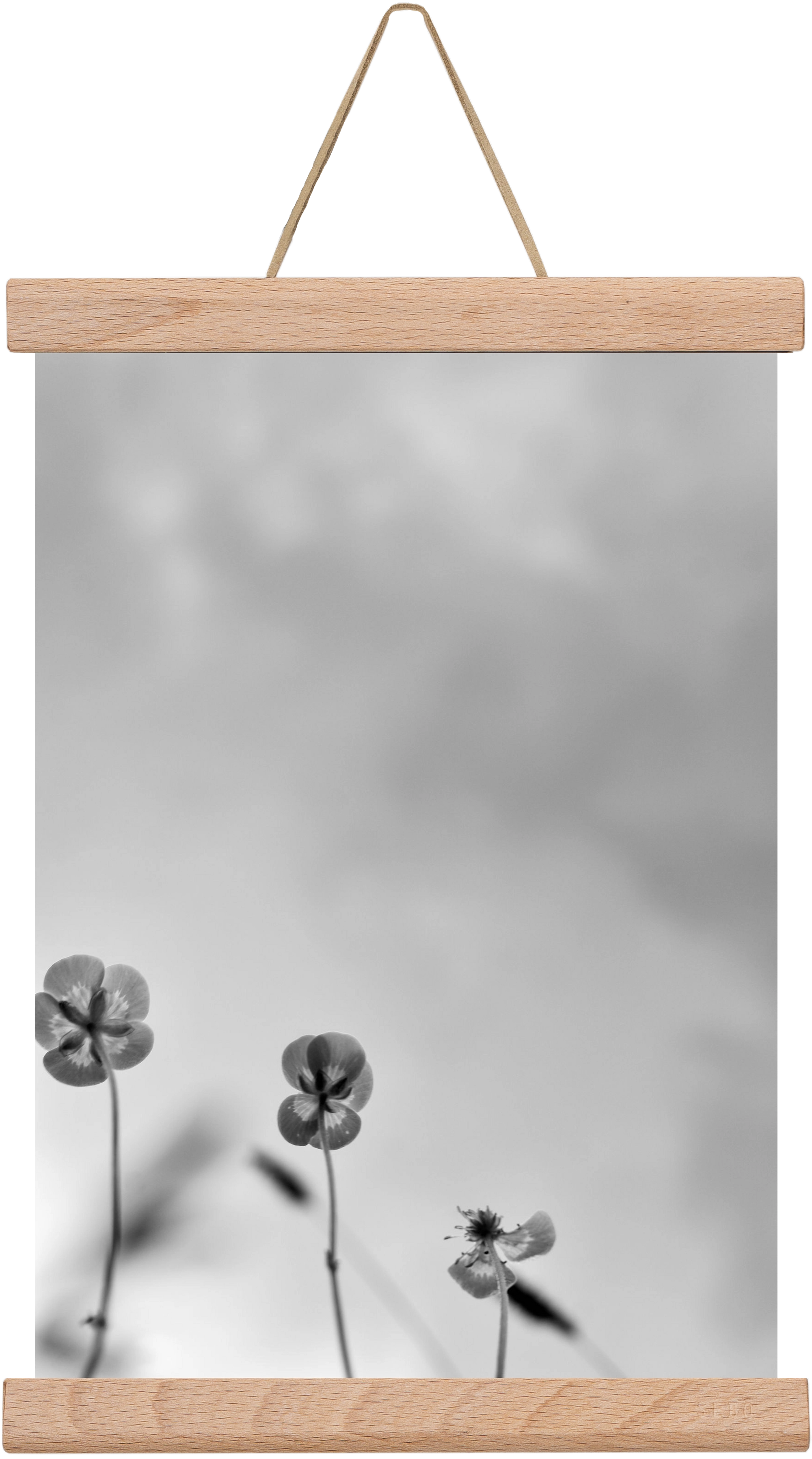 Buttercups, 20x30 cm (20x30 cm), Tölgy akasztó