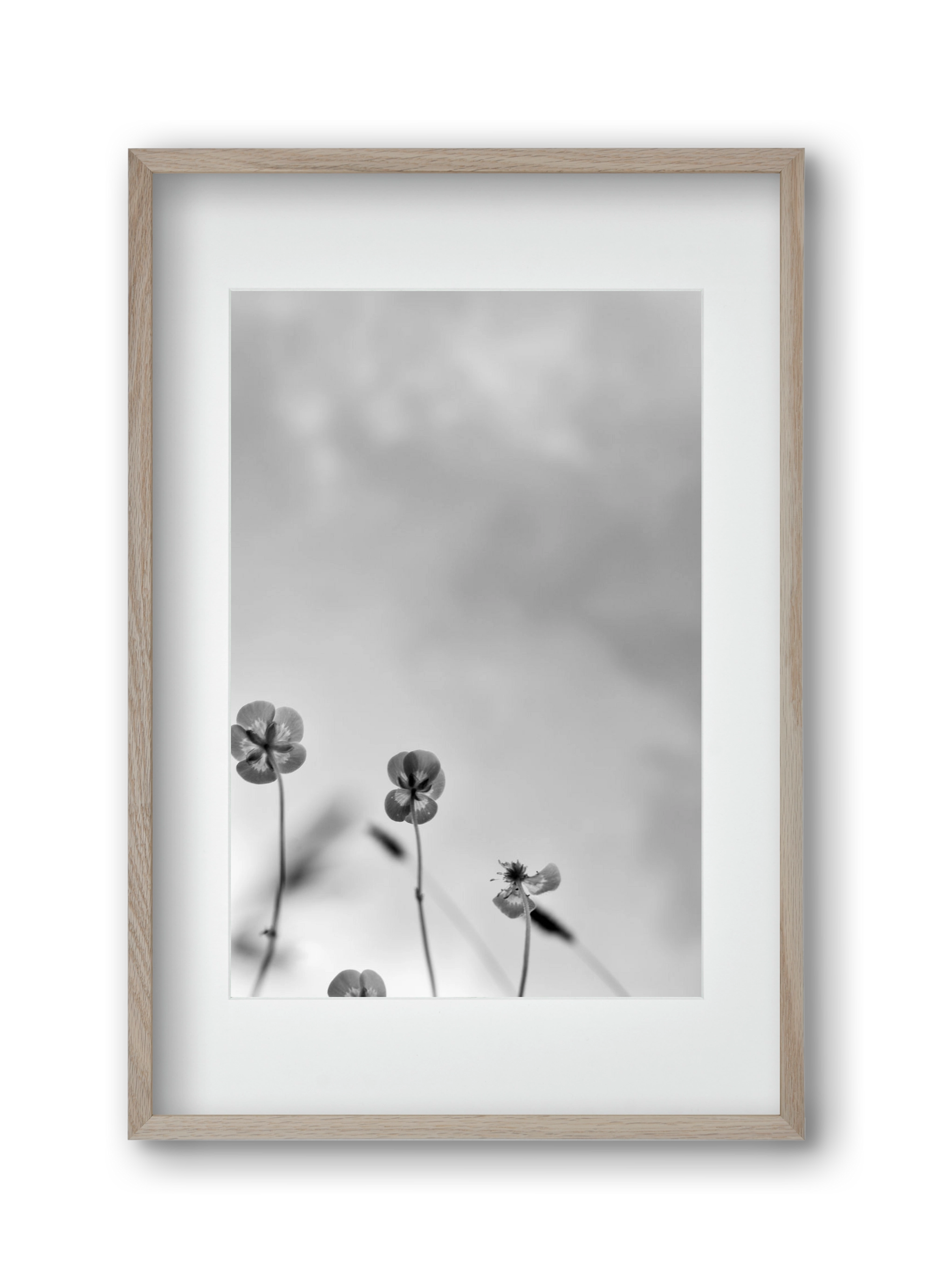 Buttercups, 30x45 cm (20x30 cm), Tölgy keret, paszpartuval