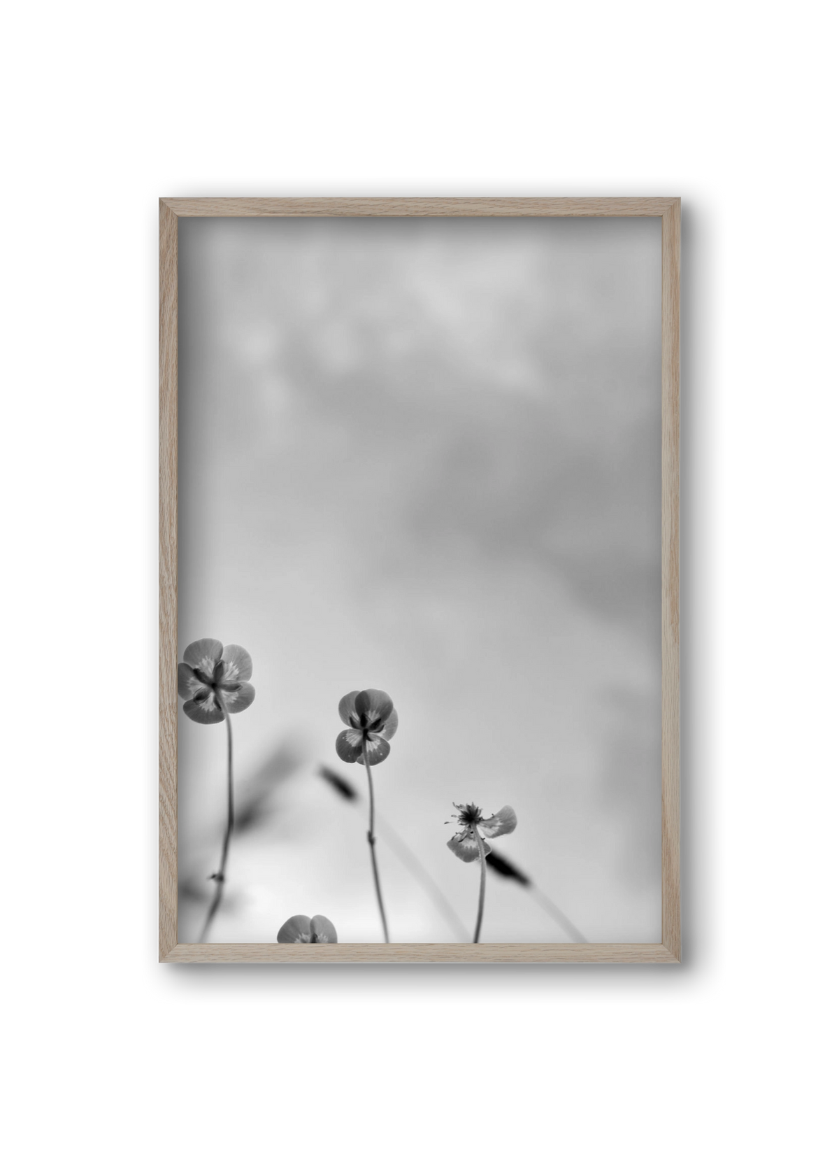 Buttercups, 20x30 cm (20x30 cm), Tölgy keret