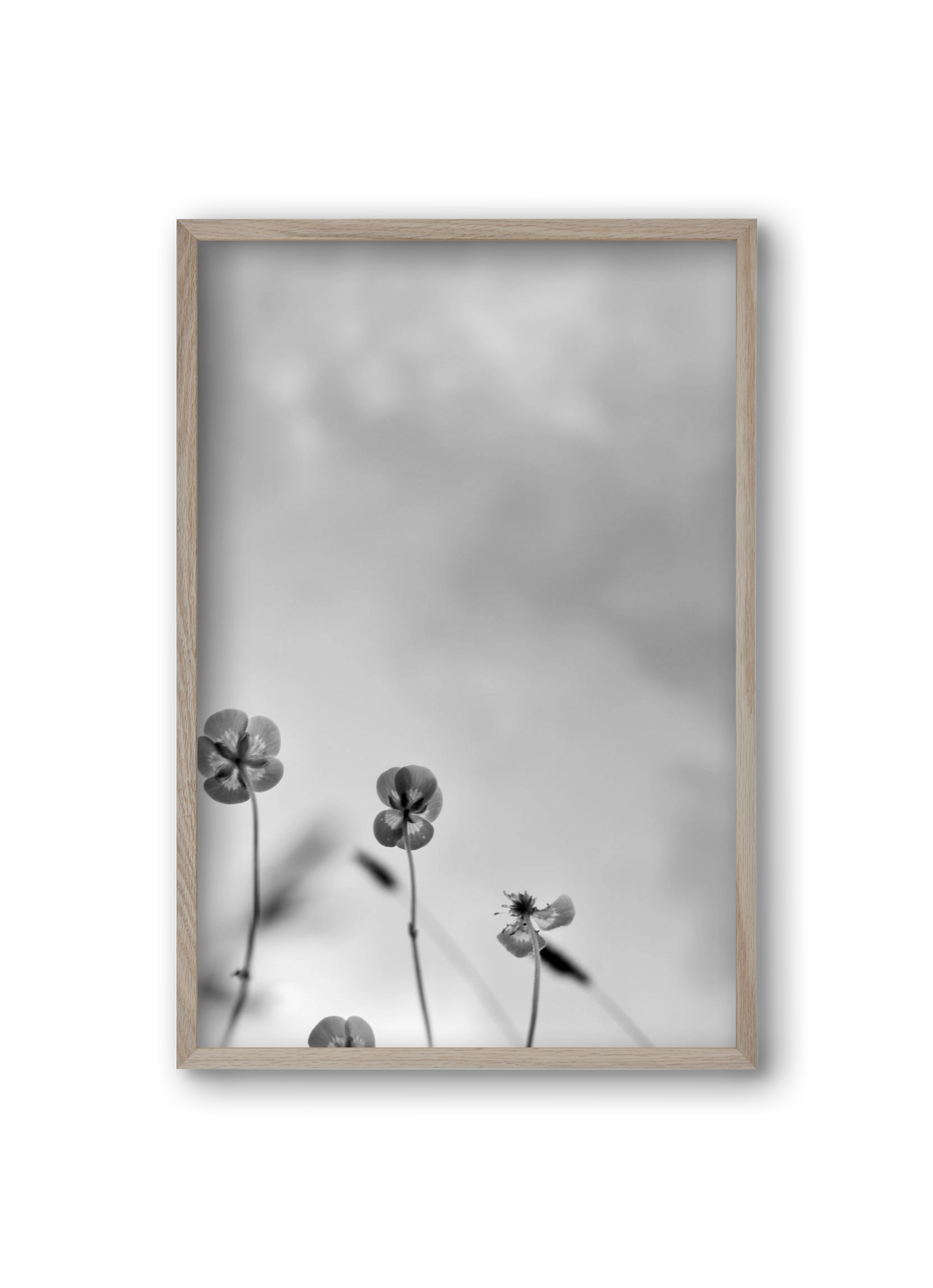 Buttercups, 20x30 cm (20x30 cm), Tölgy keret