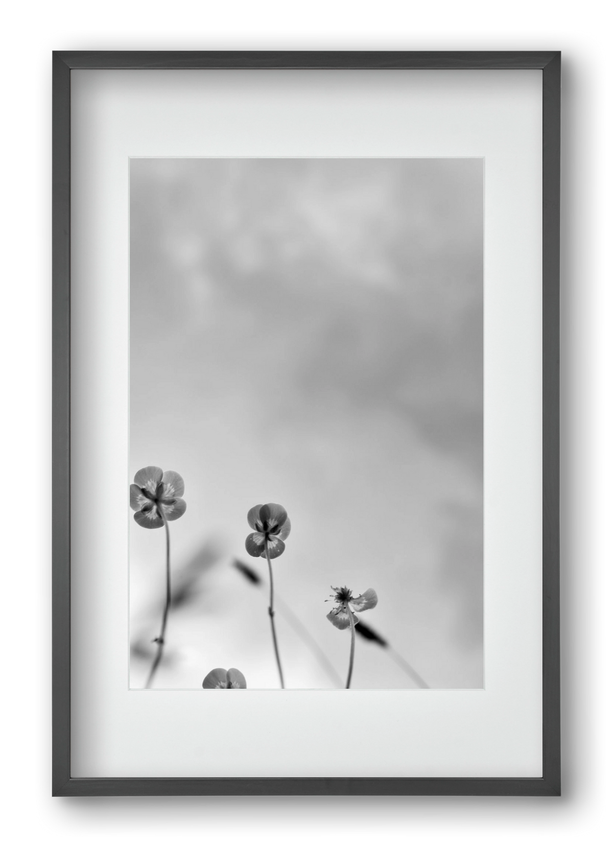 Buttercups, 40x60 cm (30x45 cm), Fekete keret, paszpartuval