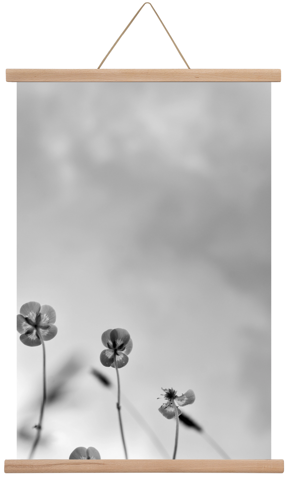 Buttercups, 40x60 cm (40x60 cm), Tölgy akasztó