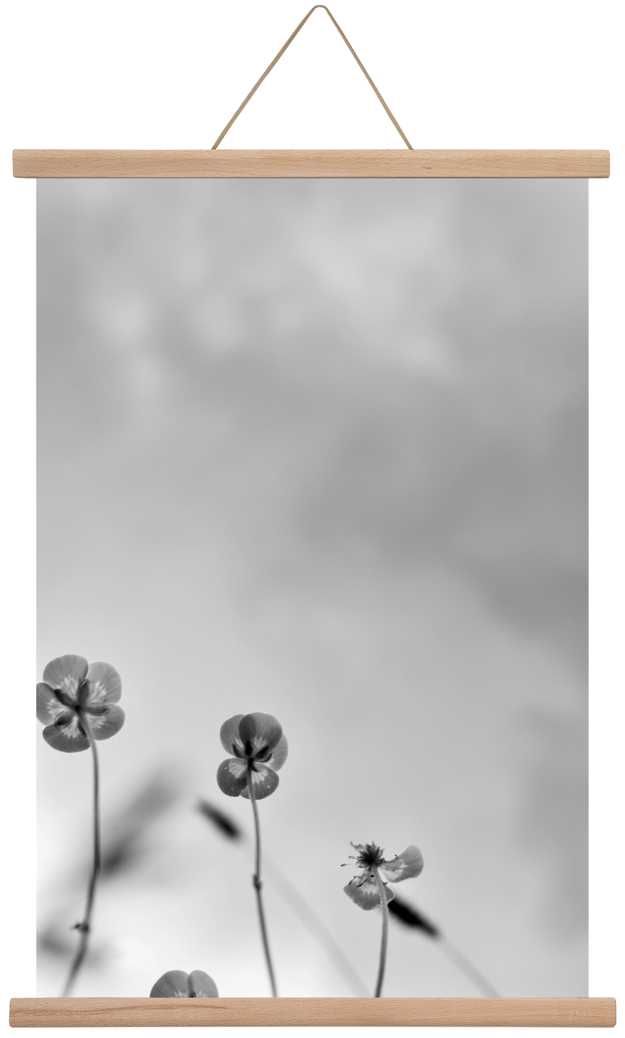 Buttercups, 40x60 cm (40x60 cm), Tölgy akasztó