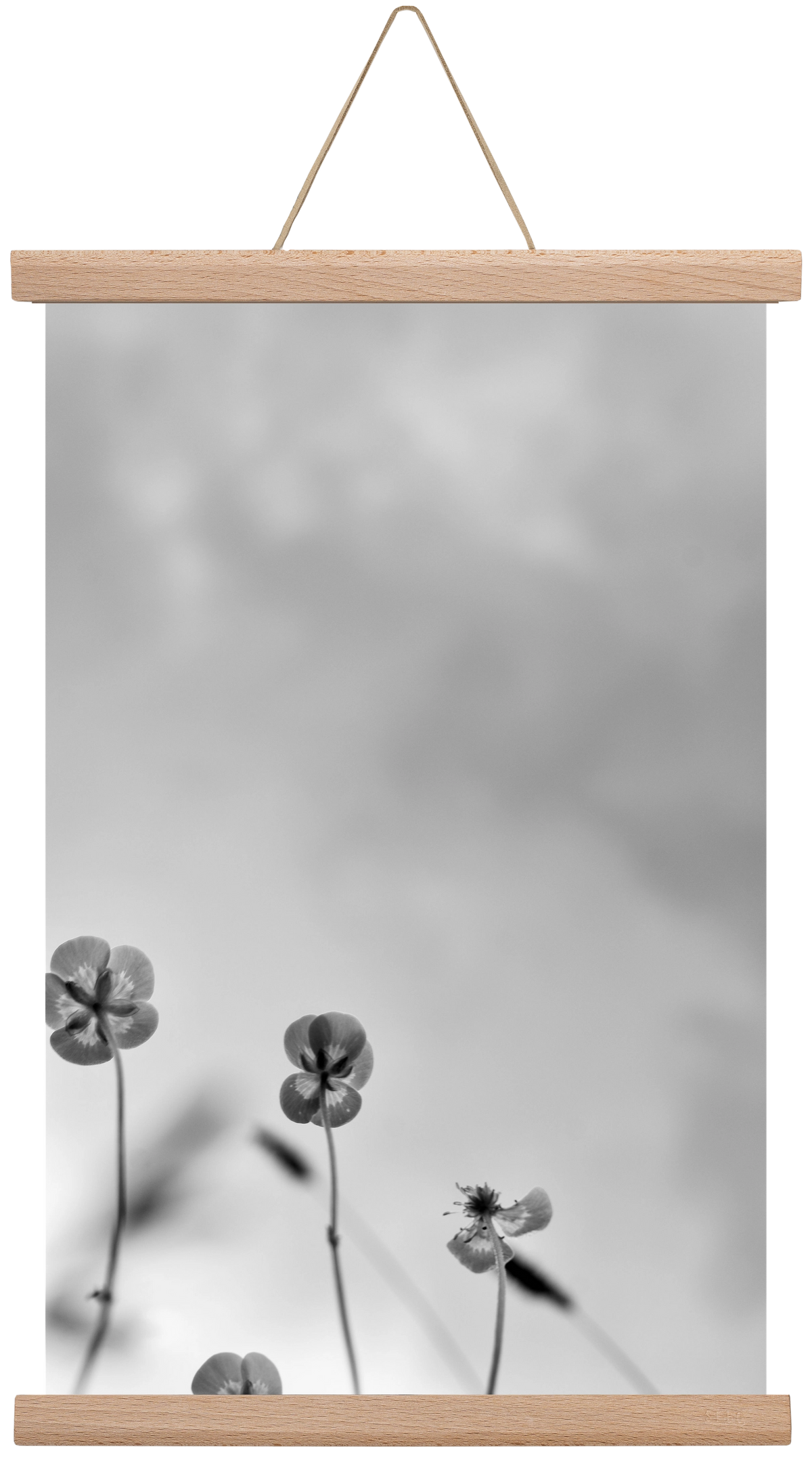 Buttercups, 30x45 cm (30x45 cm), Tölgy akasztó