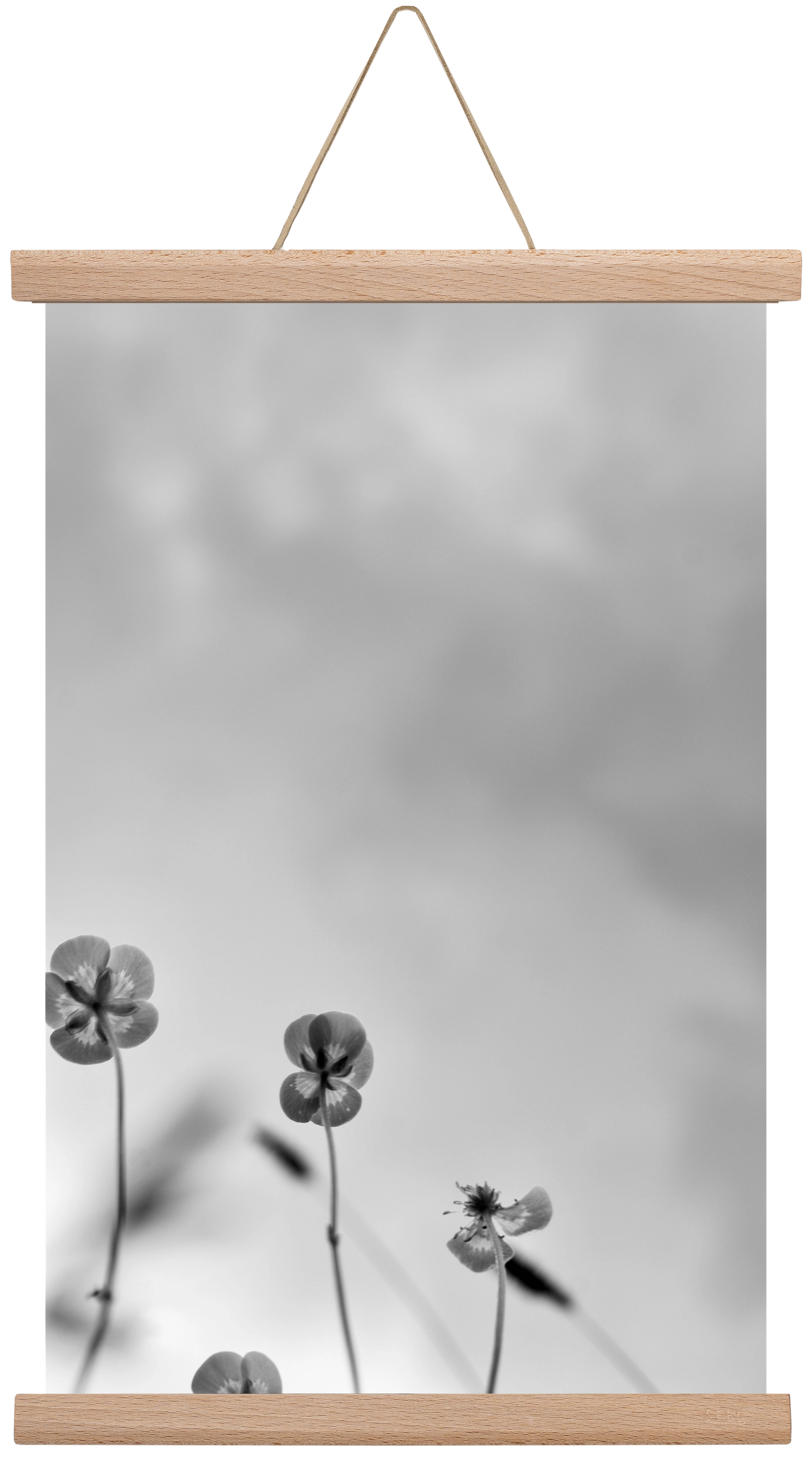 Buttercups, 30x45 cm (30x45 cm), Tölgy akasztó