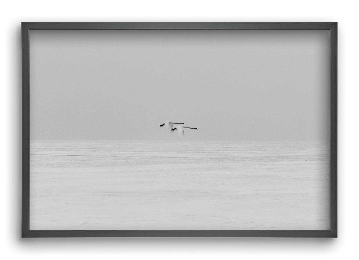 Parallel , 60x40 cm (60x40 cm), Fekete keret