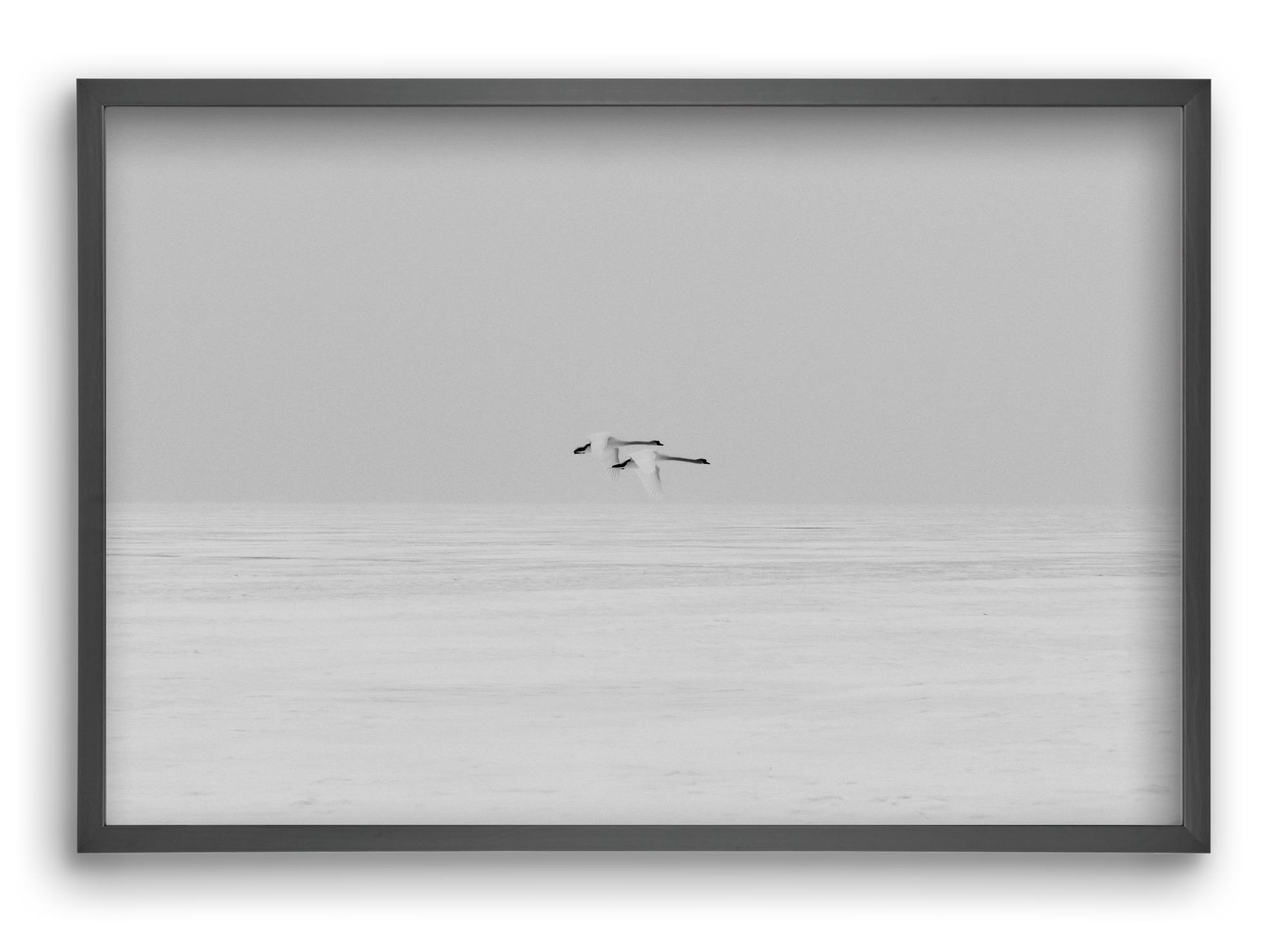 Parallel , 60x40 cm (60x40 cm), Fekete keret