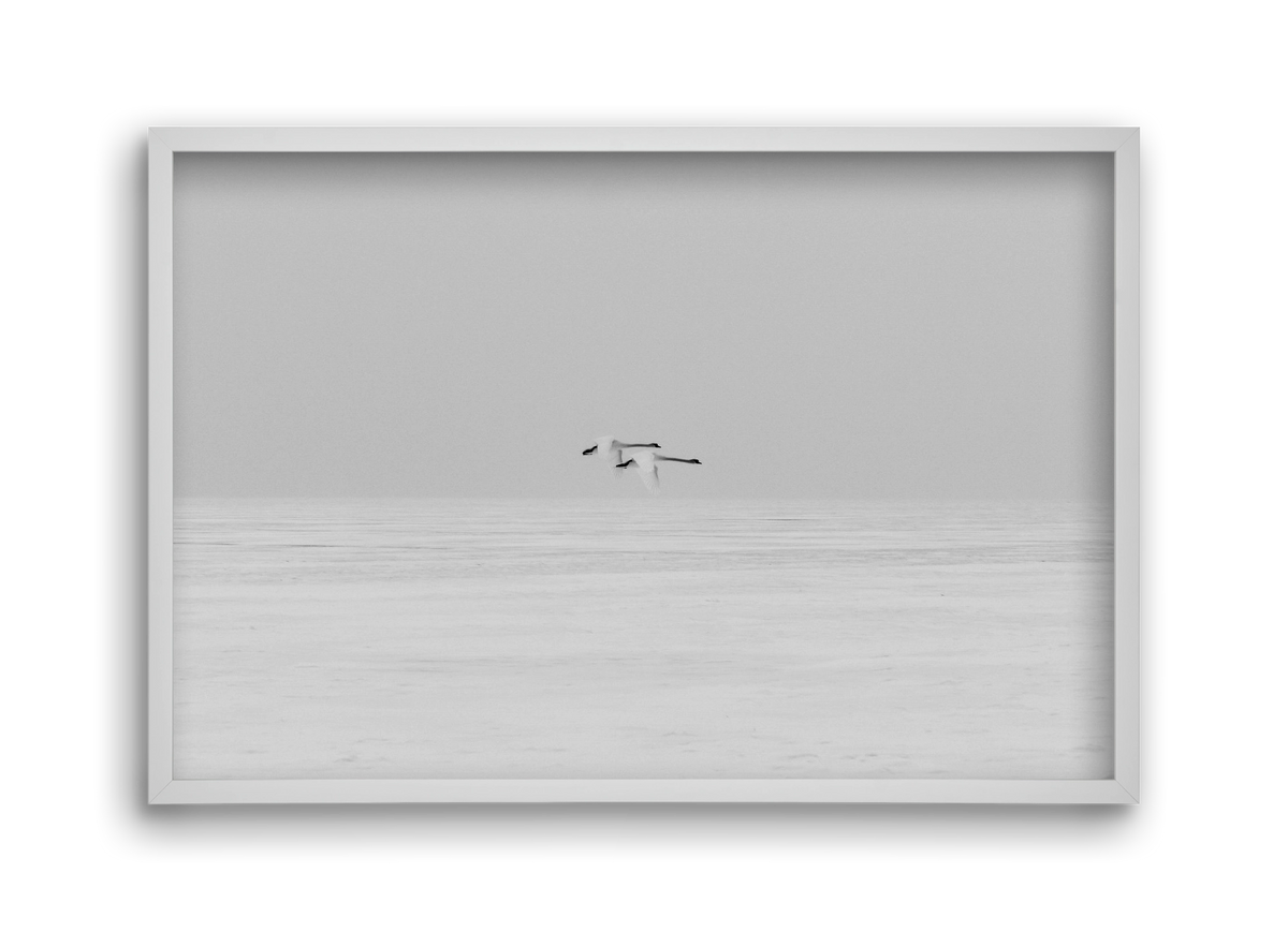 Parallel , 45x30 cm (45x30 cm), Fehér keret