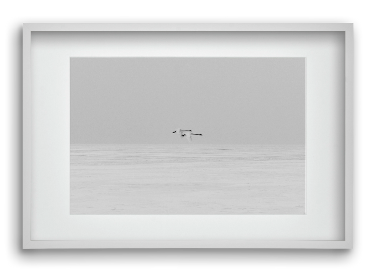 Parallel , 60x40 cm (45x30 cm), Fehér keret, paszpartuval