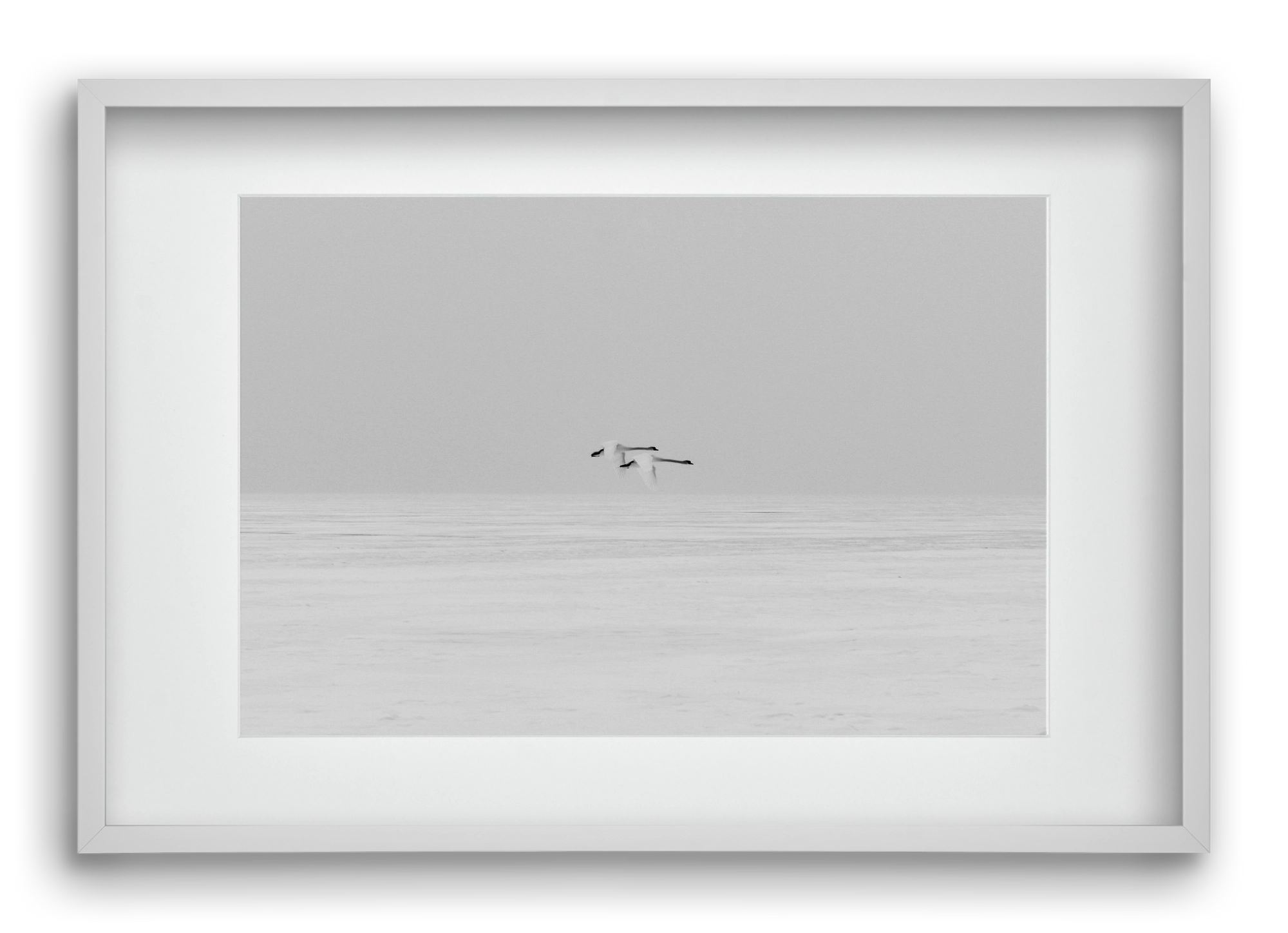 Parallel , 60x40 cm (45x30 cm), Fehér keret, paszpartuval