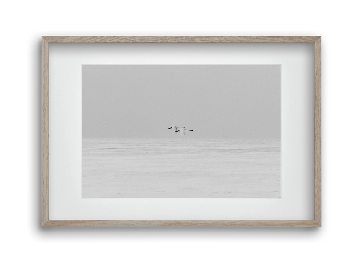 Parallel , 45x30 cm (30x20 cm), Tölgy keret, paszpartuval