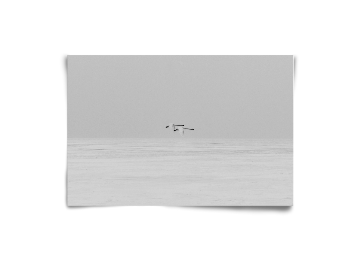 Parallel , 30x20 cm, Keret nélkül