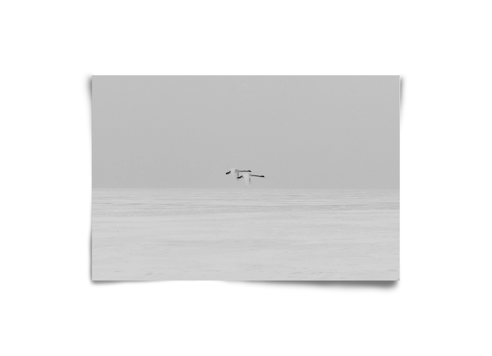 Parallel , 30x20 cm, Keret nélkül