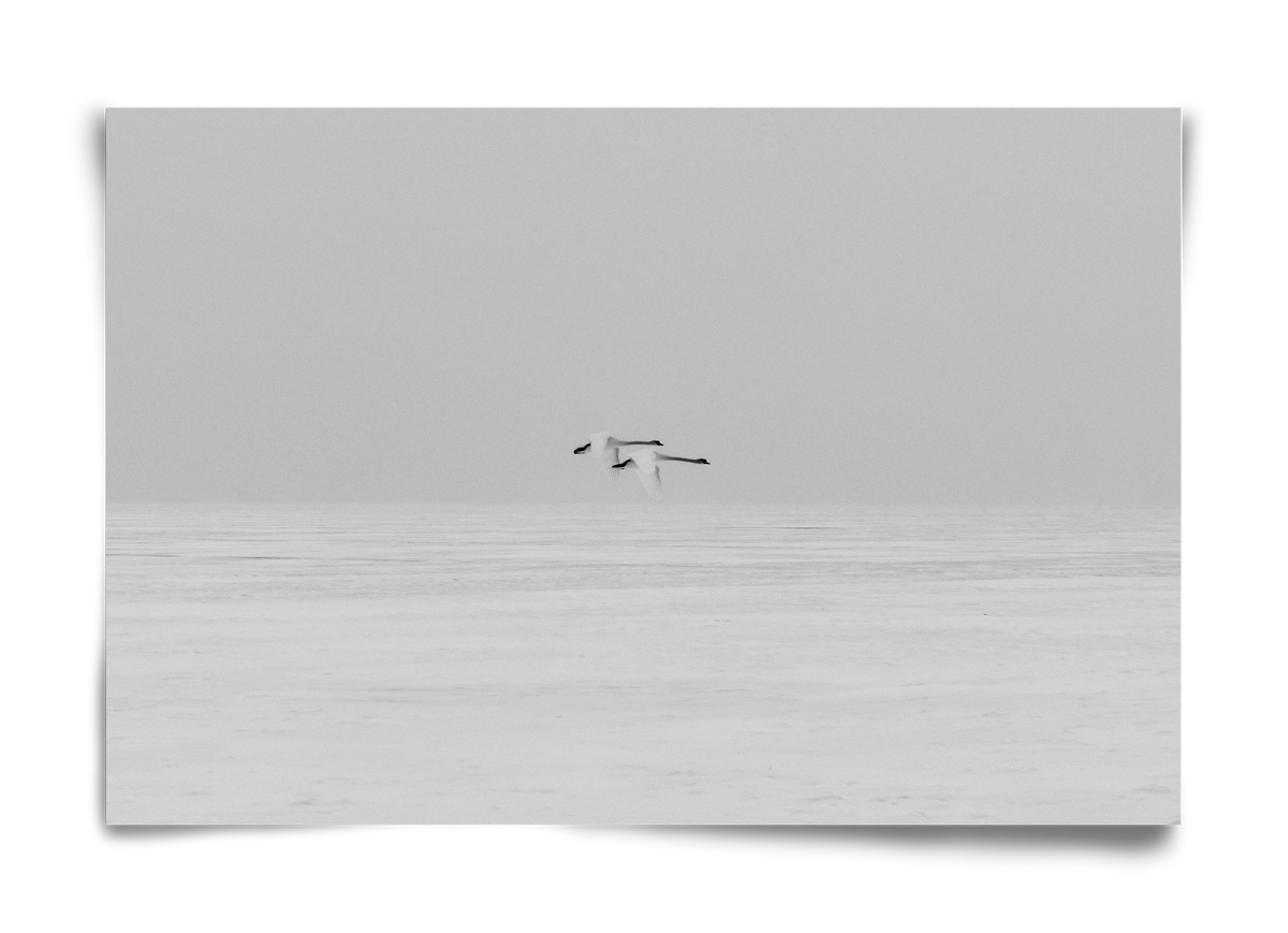 Parallel , 60x40 cm, Keret nélkül