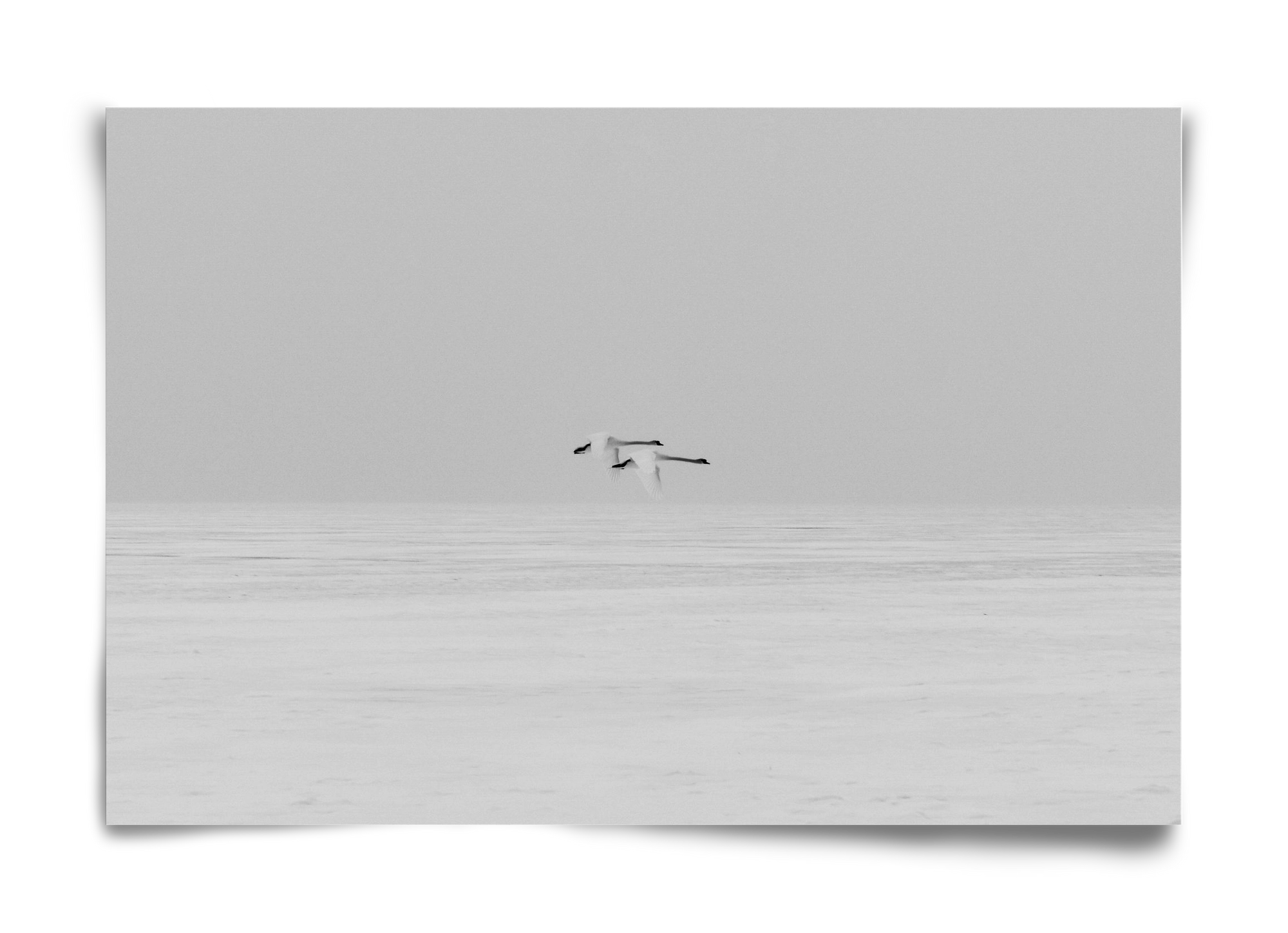 Parallel , 60x40 cm, Keret nélkül