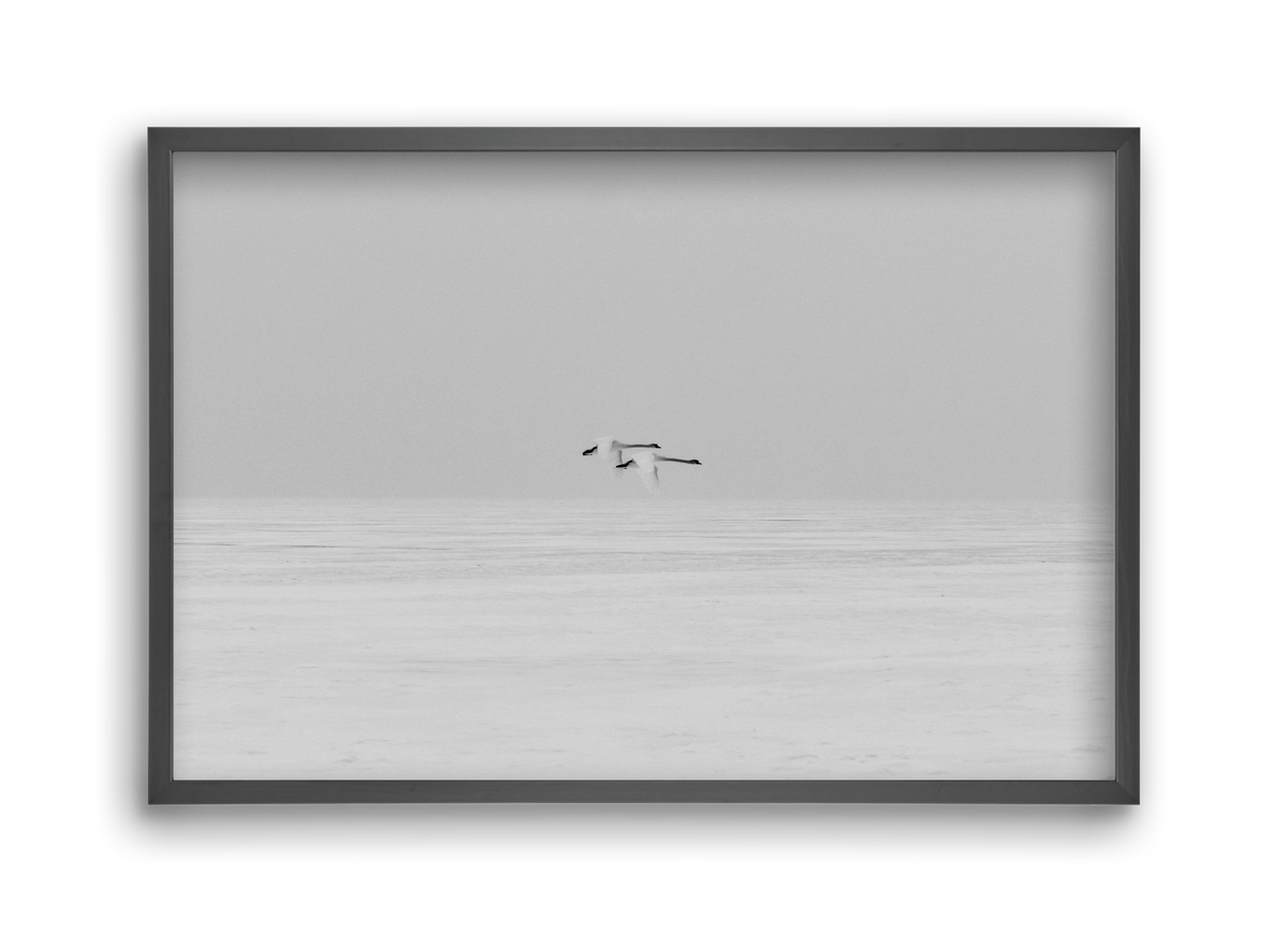 Parallel , 45x30 cm (45x30 cm), Fekete keret