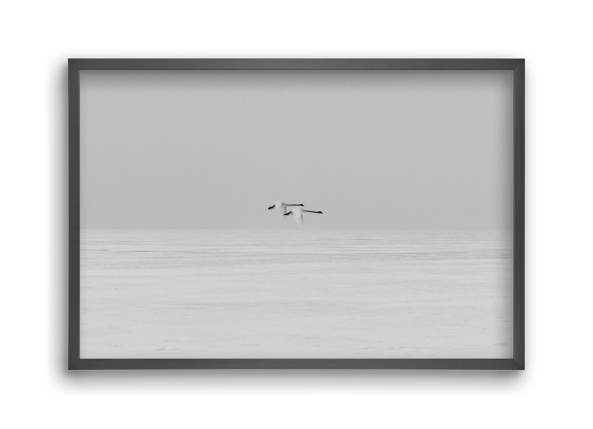 Parallel , 45x30 cm (45x30 cm), Fekete keret