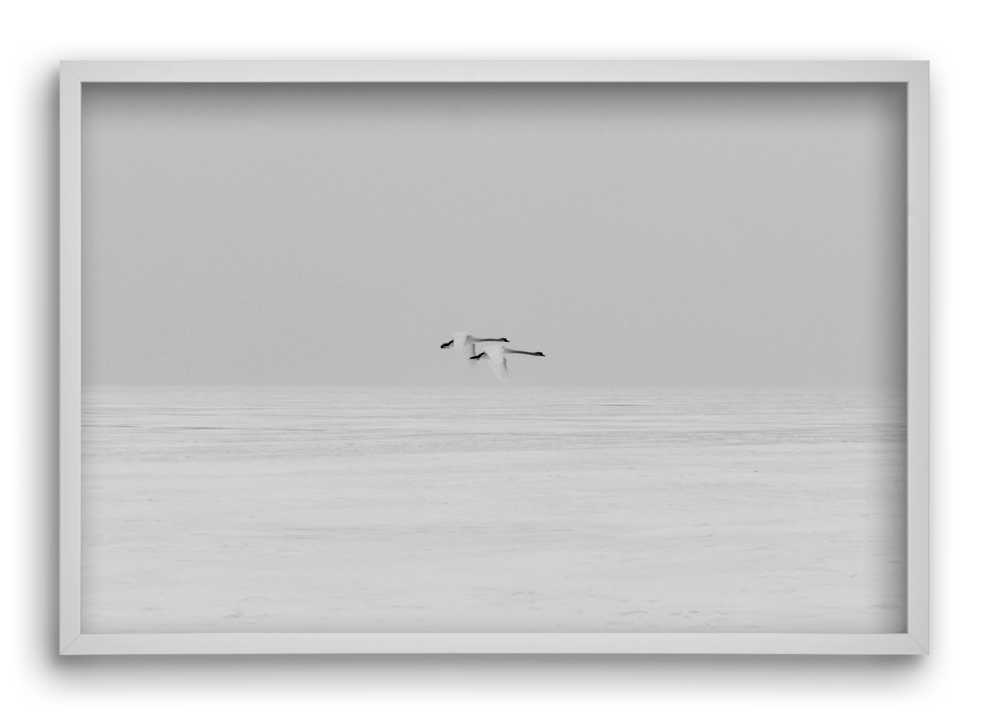 Parallel , 60x40 cm (60x40 cm), Fehér keret