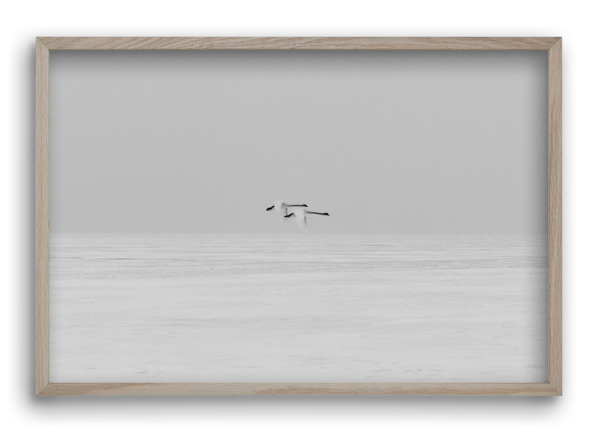 Parallel , 60x40 cm (60x40 cm), Tölgy keret