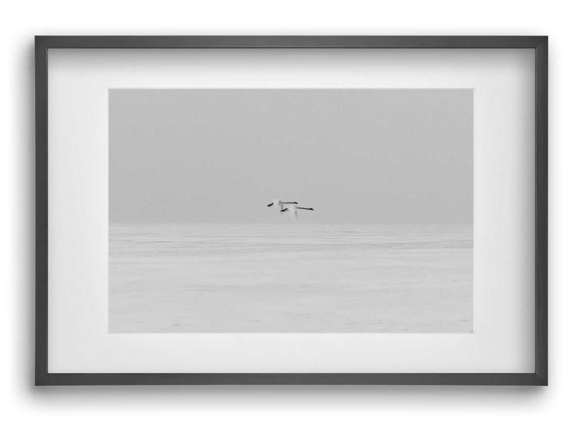 Parallel , 60x40 cm (45x30 cm), Fekete keret, paszpartuval