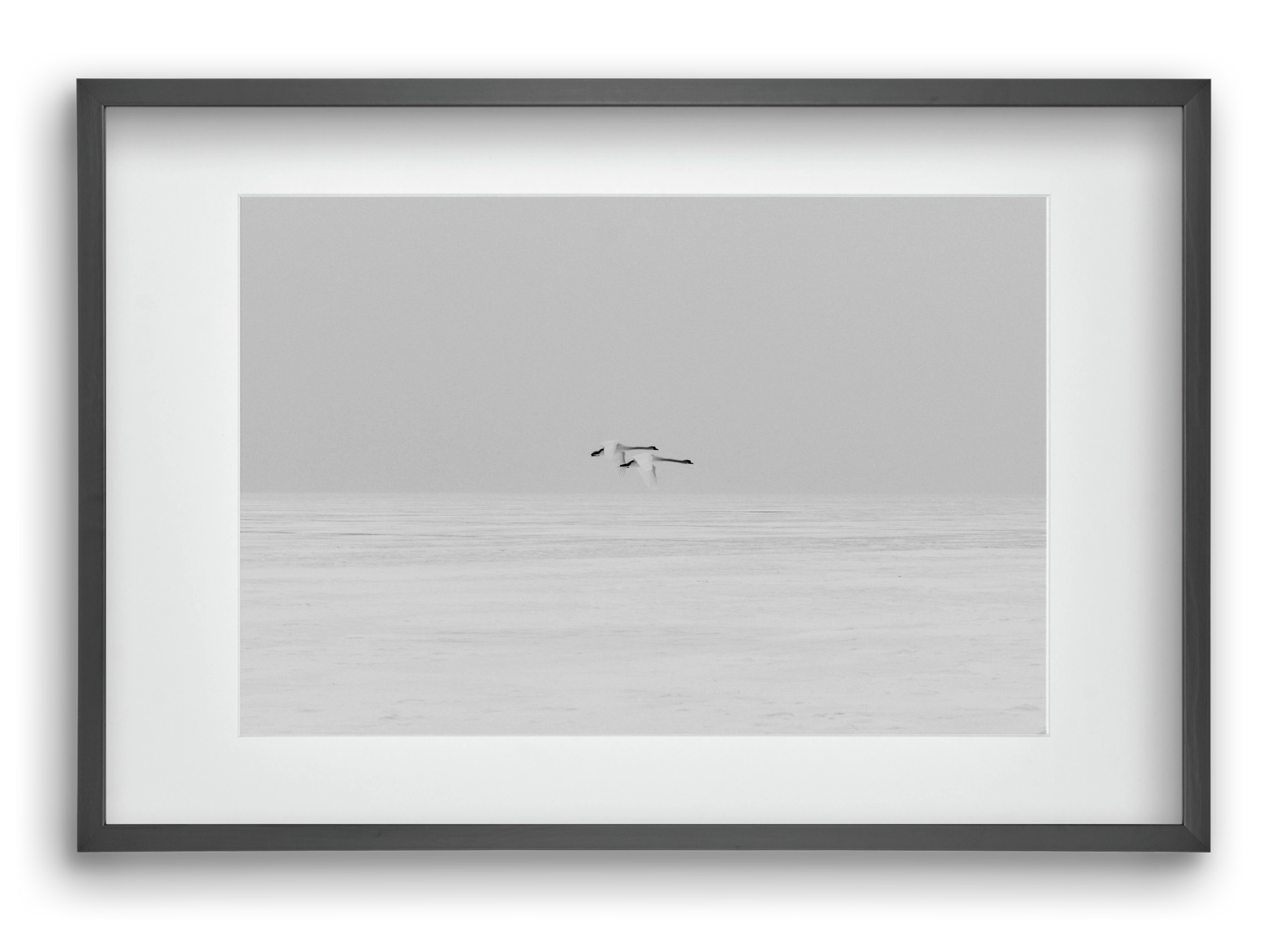 Parallel , 60x40 cm (45x30 cm), Fekete keret, paszpartuval