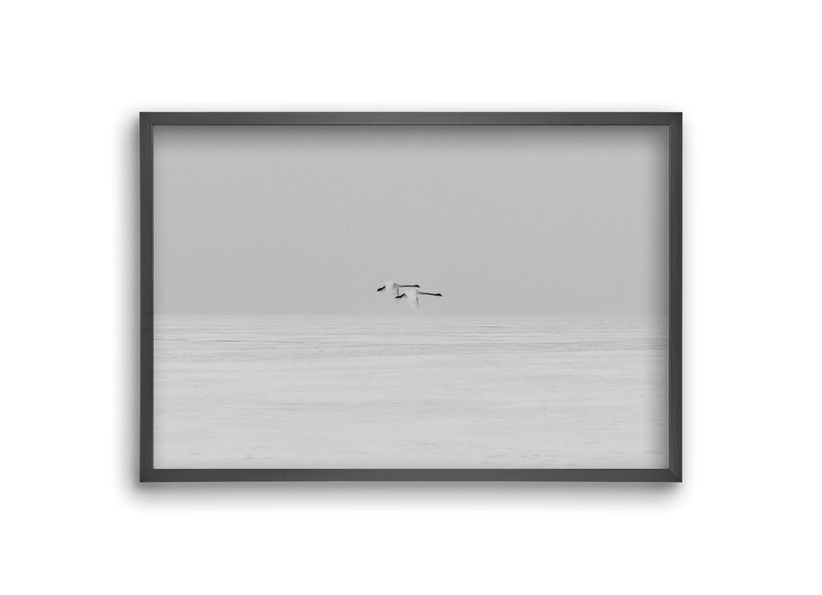 Parallel , 30x20 cm (30x20 cm), Fekete keret