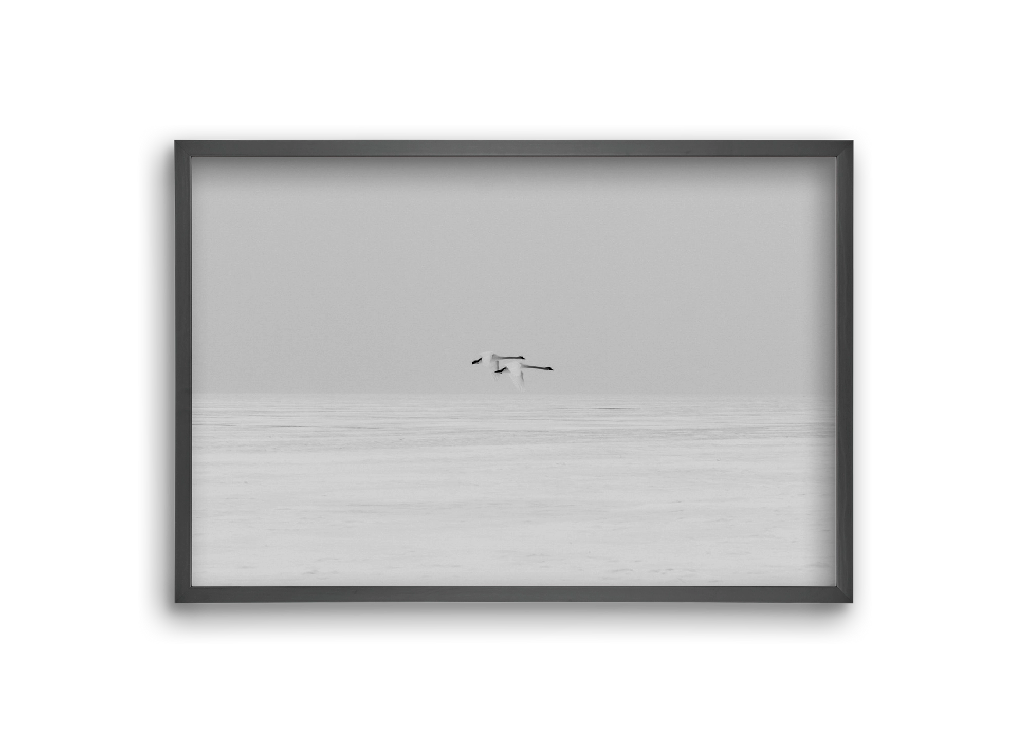 Parallel , 30x20 cm (30x20 cm), Fekete keret