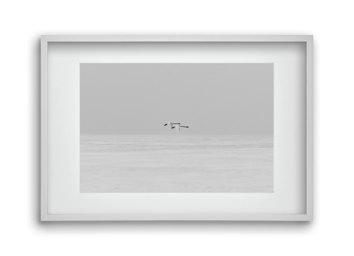 Parallel , 45x30 cm (30x20 cm), Fehér keret, paszpartuval