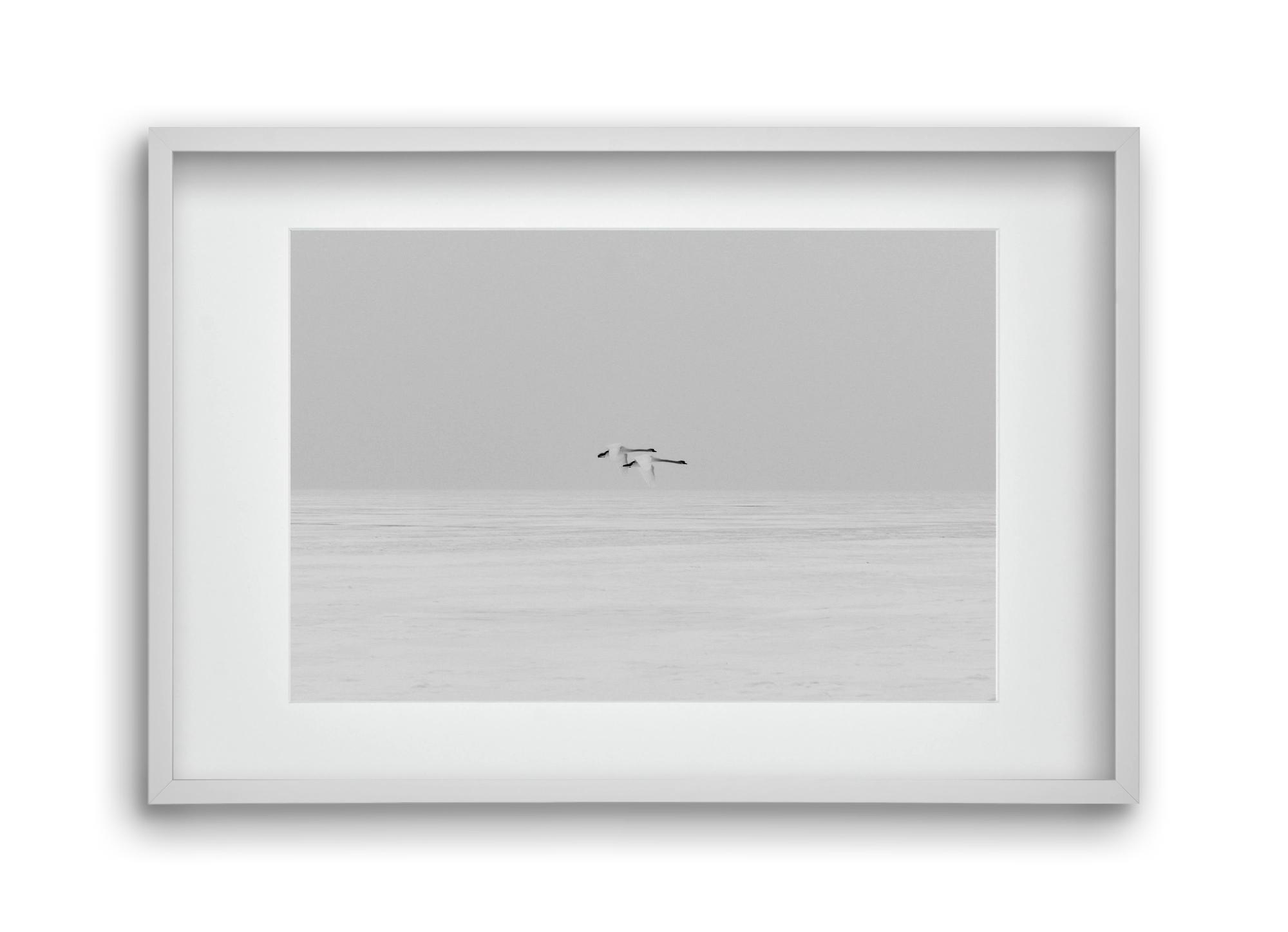 Parallel , 45x30 cm (30x20 cm), Fehér keret, paszpartuval