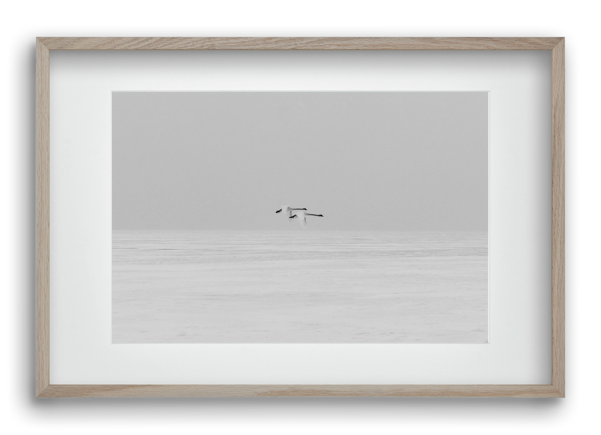 Parallel , 60x40 cm (45x30 cm), Tölgy keret, paszpartuval