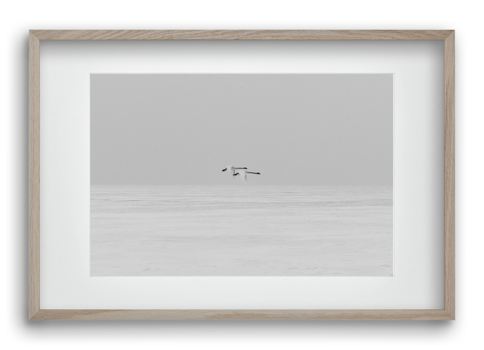 Parallel , 60x40 cm (45x30 cm), Tölgy keret, paszpartuval