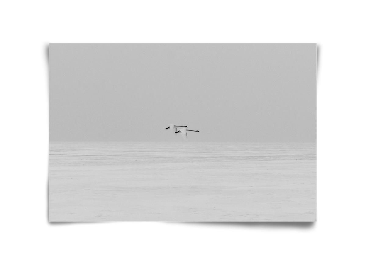 Parallel , 45x30 cm, Keret nélkül