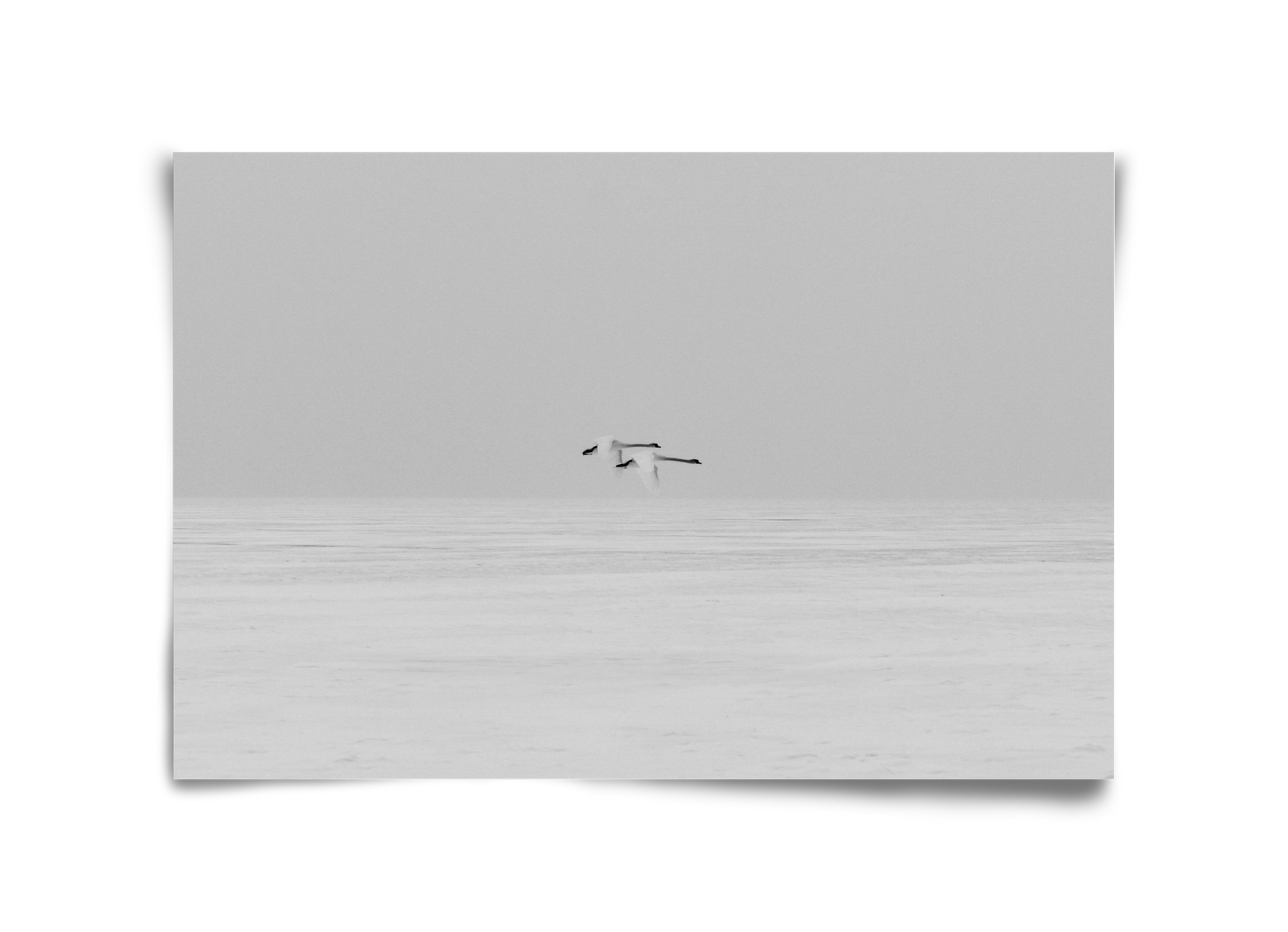 Parallel , 45x30 cm, Keret nélkül