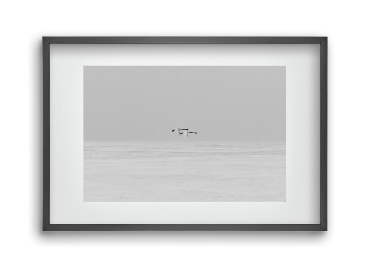 Parallel , 45x30 cm (30x20 cm), Fekete keret, paszpartuval