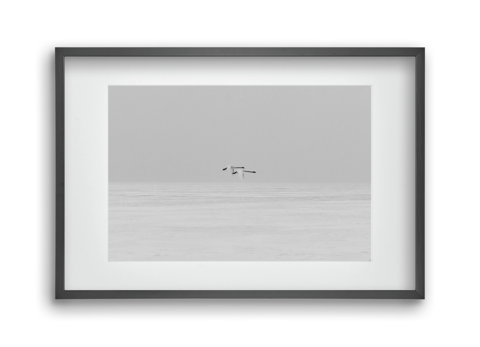 Parallel , 45x30 cm (30x20 cm), Fekete keret, paszpartuval