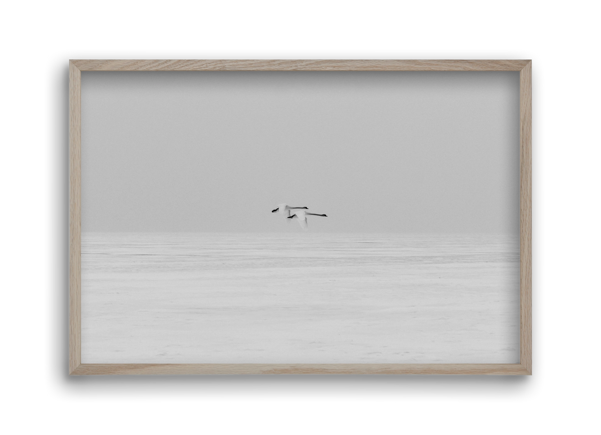 Parallel , 45x30 cm (45x30 cm), Tölgy keret