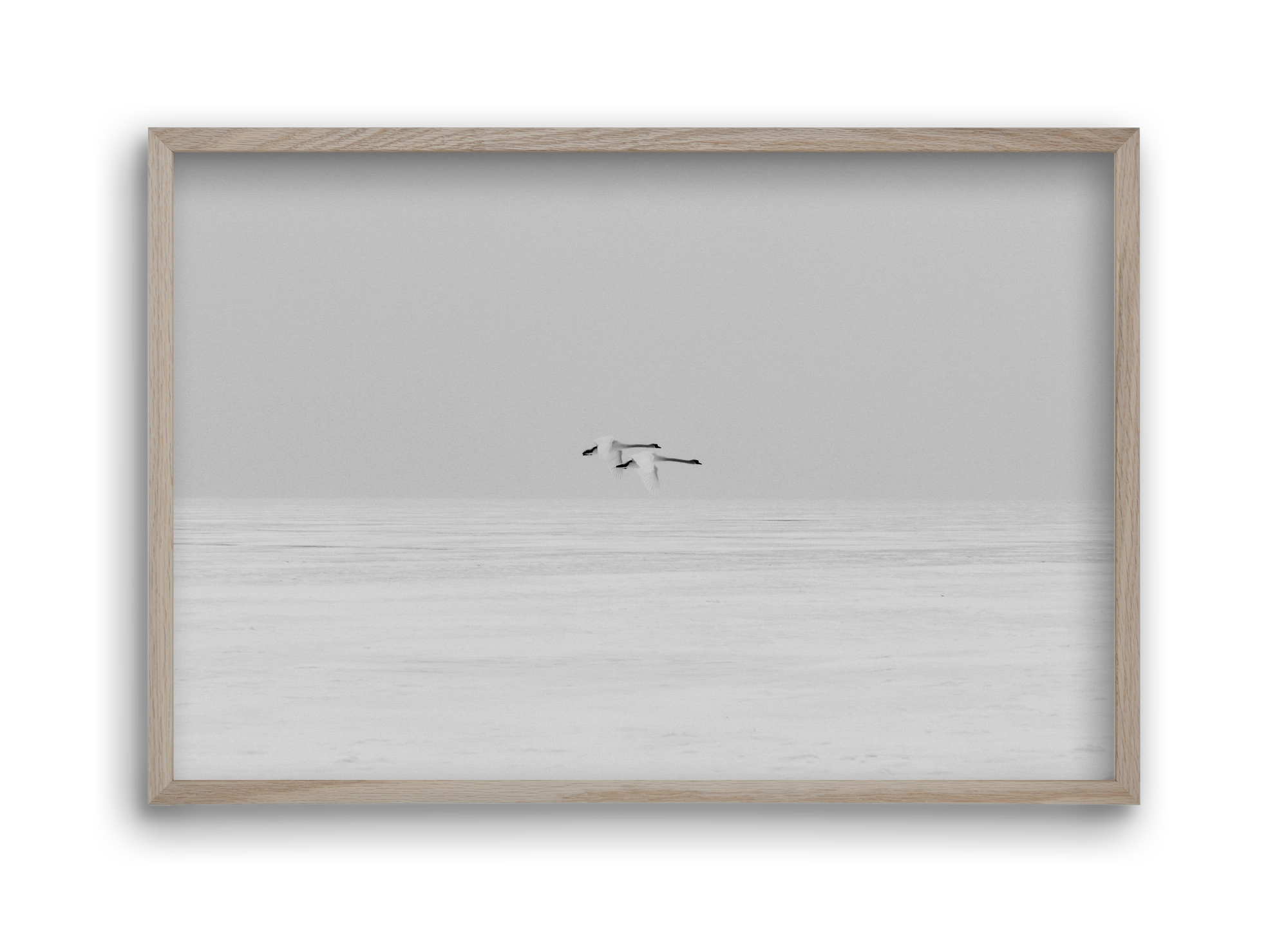 Parallel , 45x30 cm (45x30 cm), Tölgy keret