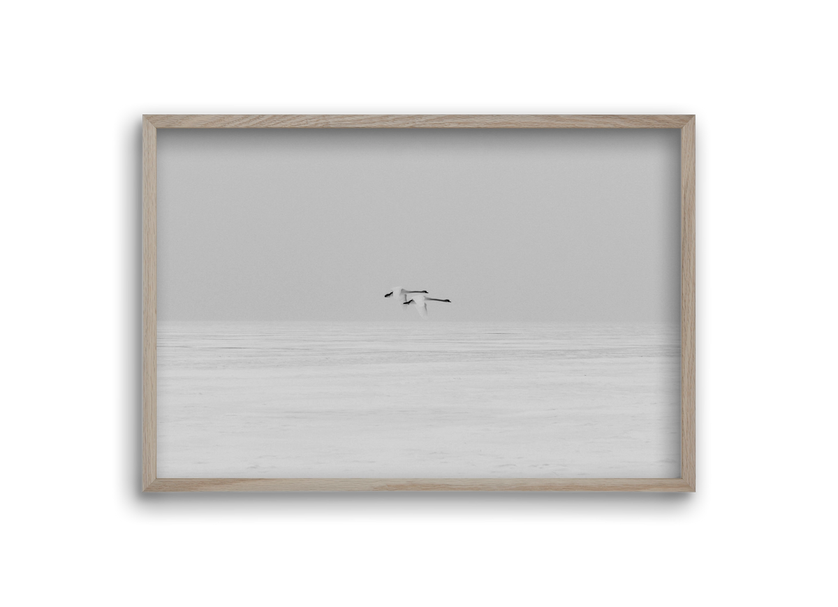 Parallel , 30x20 cm (30x20 cm), Tölgy keret