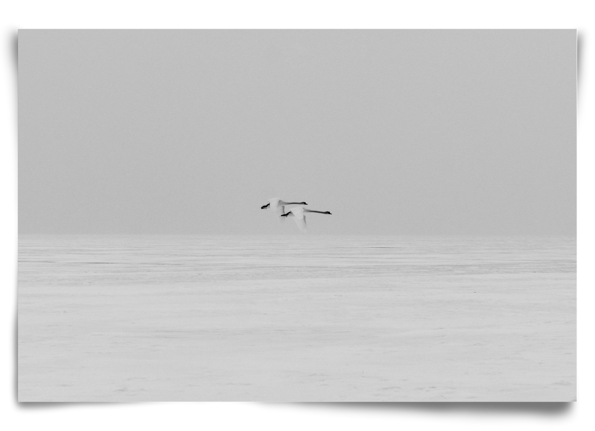 Parallel , 90x60 cm, Keret nélkül