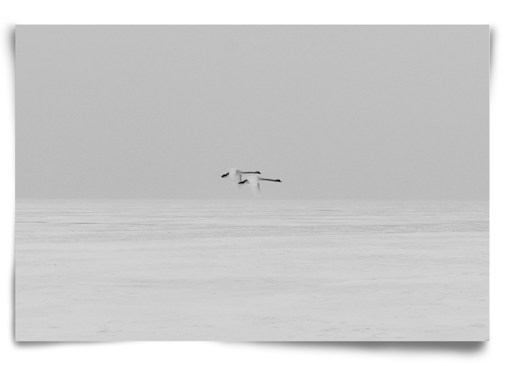 Parallel , 90x60 cm, Keret nélkül