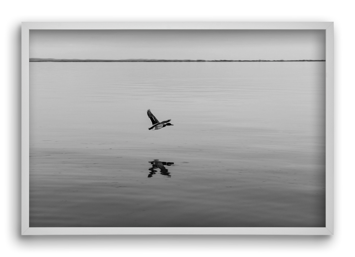 Vertigo , 60x40 cm (60x40 cm), Fehér keret