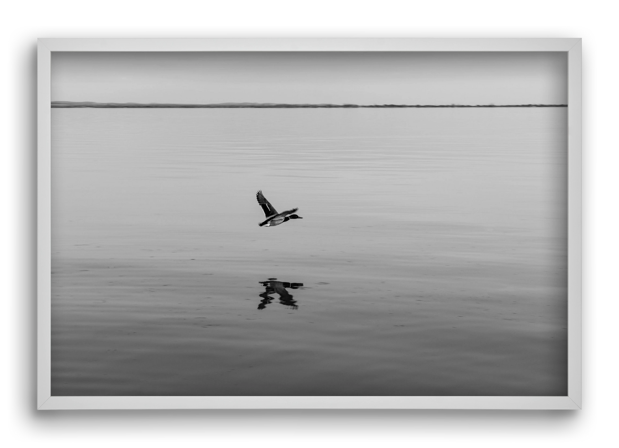 Vertigo , 60x40 cm (60x40 cm), Fehér keret