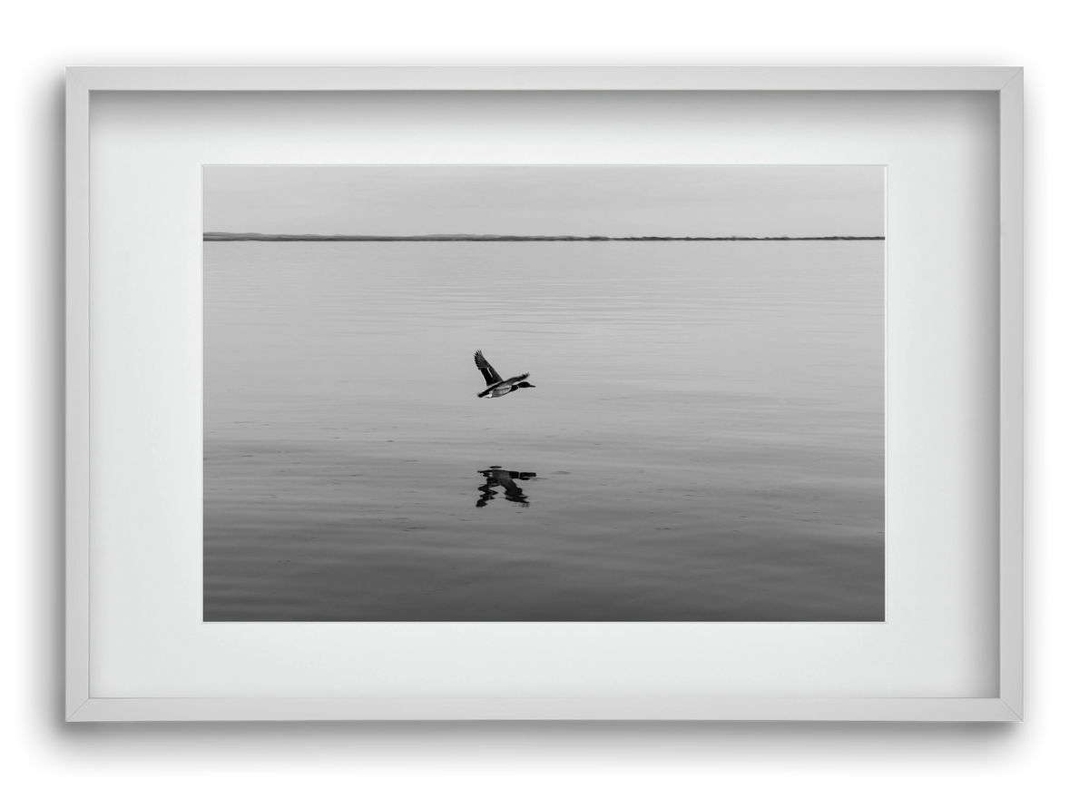 Vertigo , 60x40 cm (45x30 cm), Fehér keret, paszpartuval