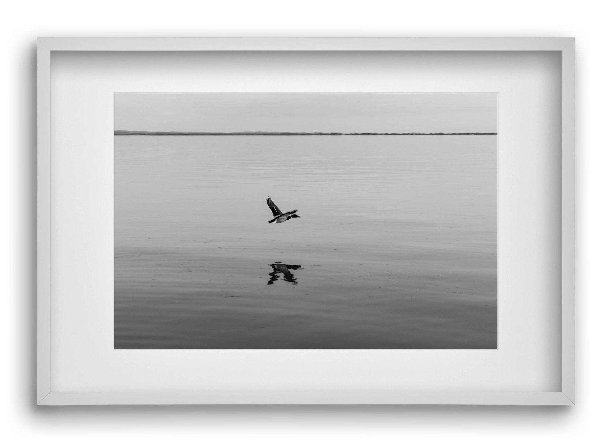 Vertigo , 60x40 cm (45x30 cm), Fehér keret, paszpartuval