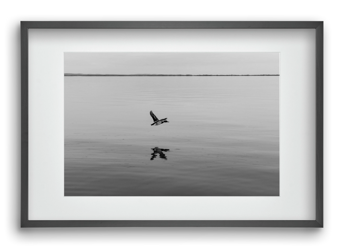 Vertigo , 60x40 cm (45x30 cm), Fekete keret, paszpartuval