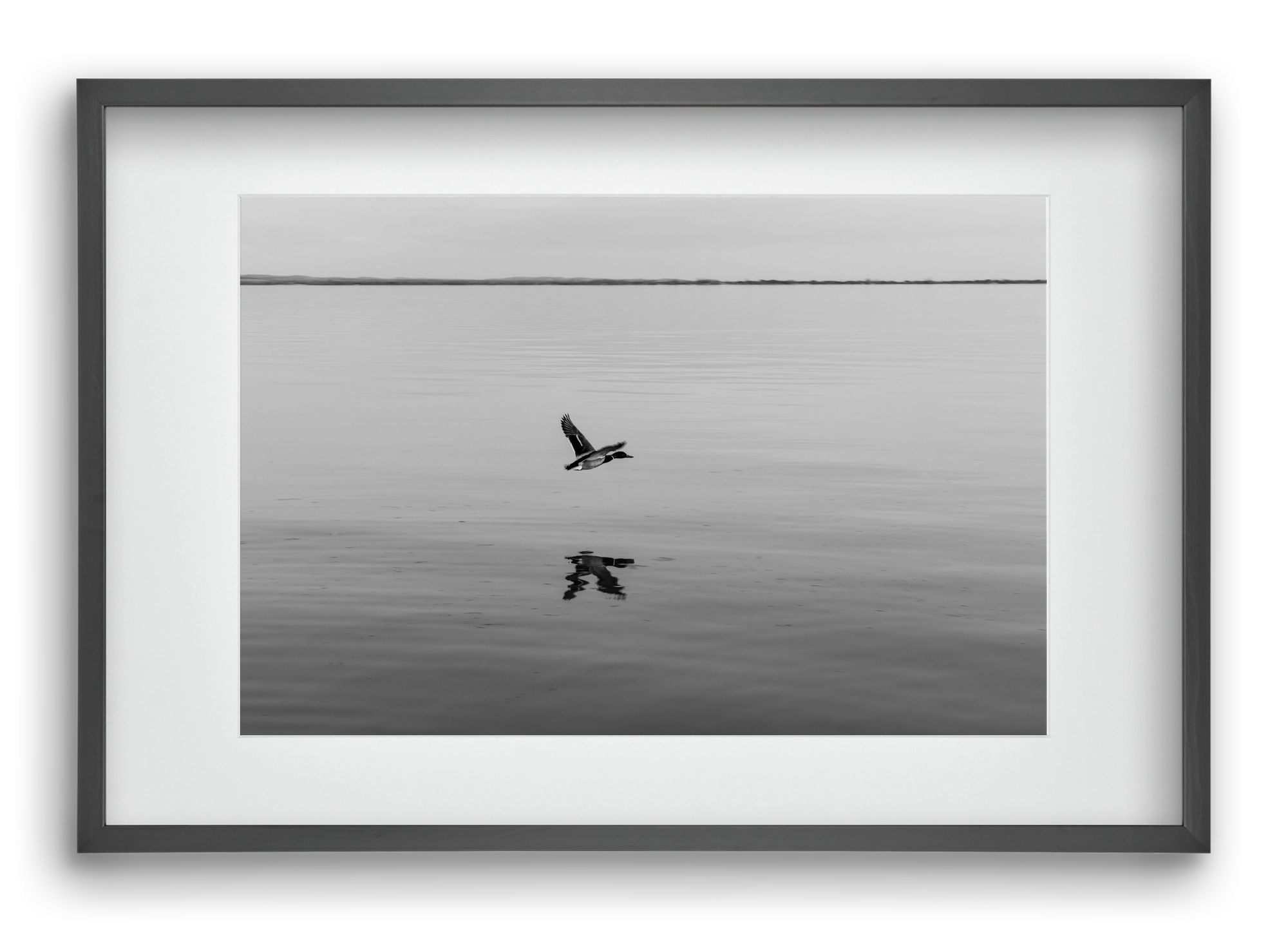 Vertigo , 60x40 cm (45x30 cm), Fekete keret, paszpartuval
