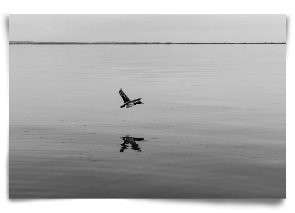 Vertigo , 90x60 cm, Keret nélkül