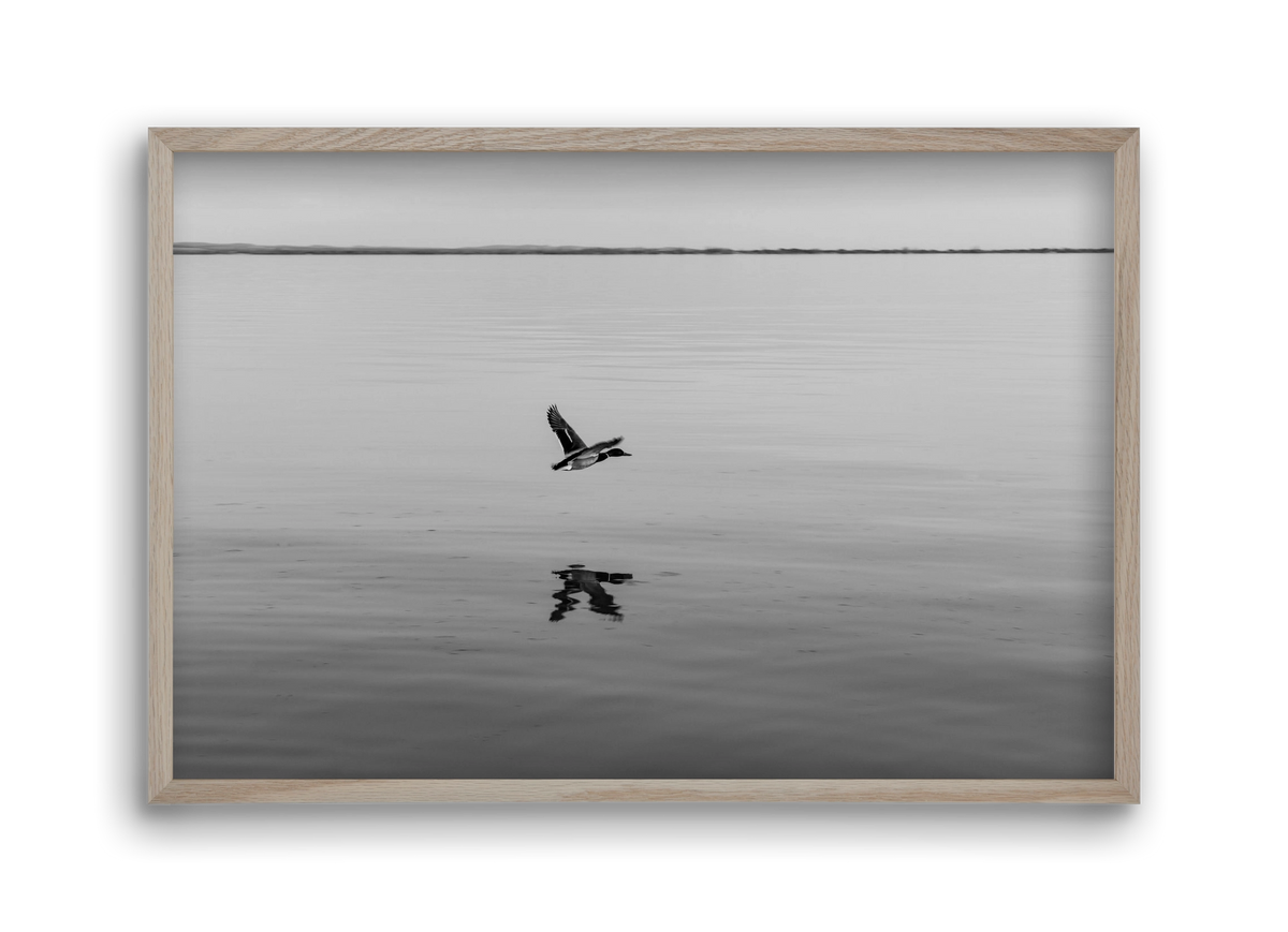 Vertigo , 45x30 cm (45x30 cm), Tölgy keret